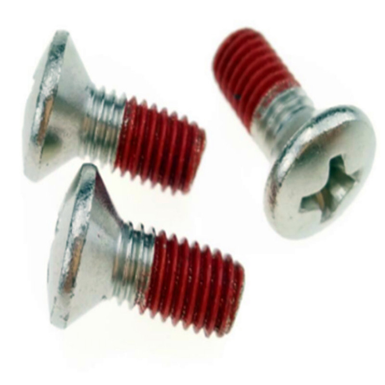 Naylon yama ile Paslanmaz Çelik Oval Başlı PH2 Makine Vidaları