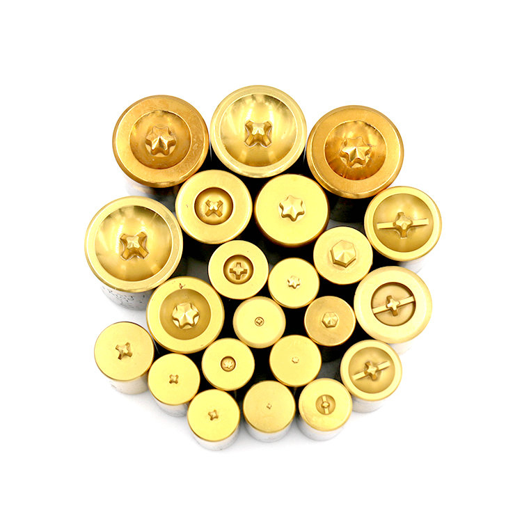 Farklı Tipler Vida Başlık Punch Kalıbı
