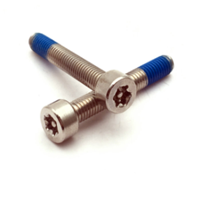 M5 ISO14579 paslanmaz çelik 304 naylon kaplı torx düzeltme kilit cıvatası