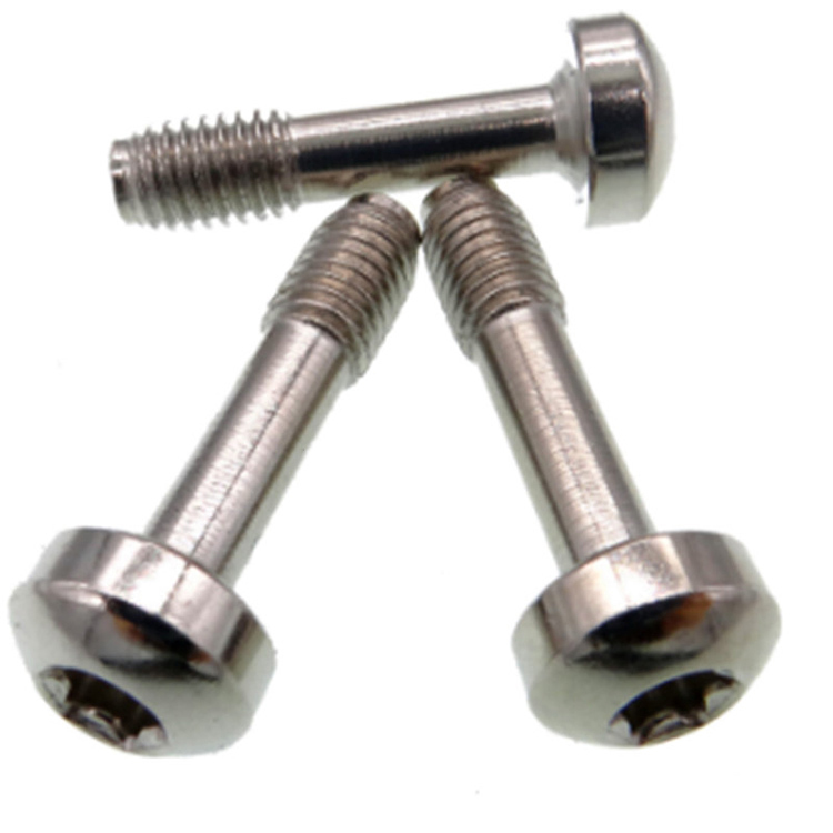 M6 tava başlı paslanmaz çelik 304 torx tutucu panel vidası