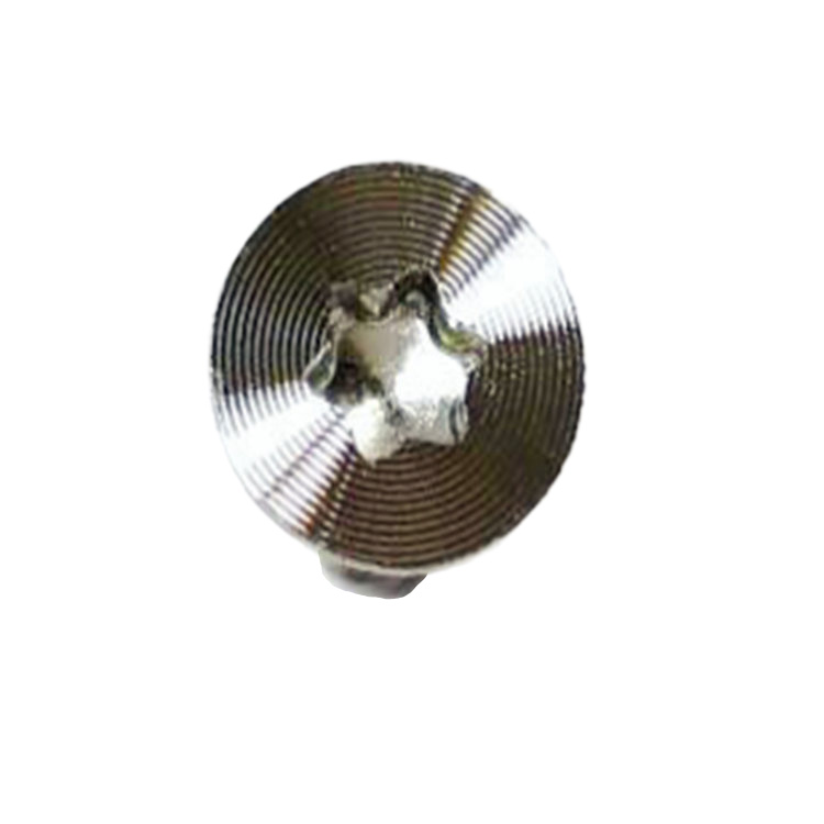 Havşa başlı paslanmaz çelik saten fırçalanmış mini torx vidası