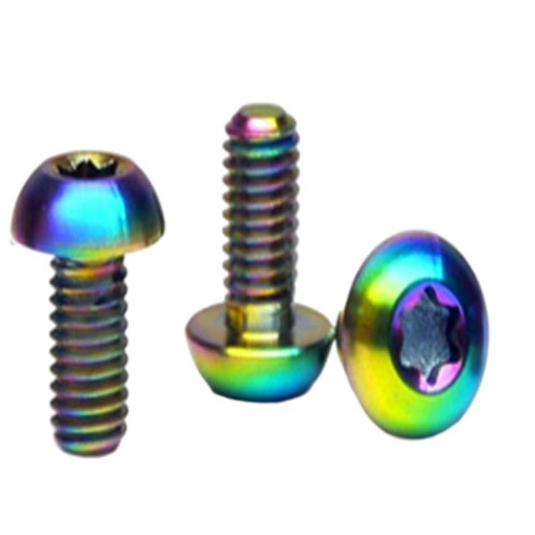 M3 M4 M5 M6 M8 M10 GR2 GR5 torx kafa bisiklet için titanyum vidalar