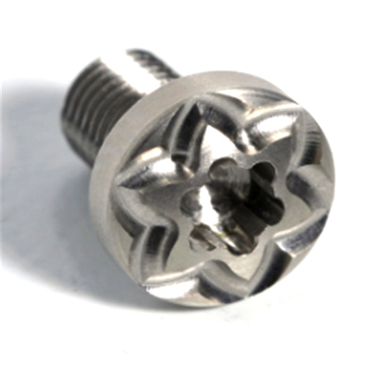 Paslanmaz çelik standart dışı özelleştirilmiş torx vidası