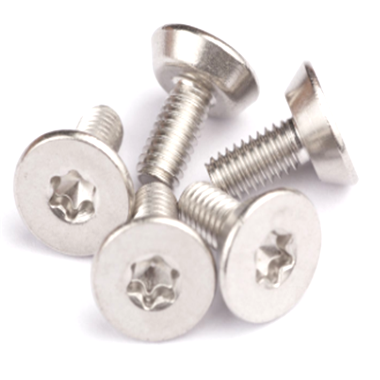 Paslanmaz çelik m3 T10 torx düz başlı alttan kesme makine vidaları