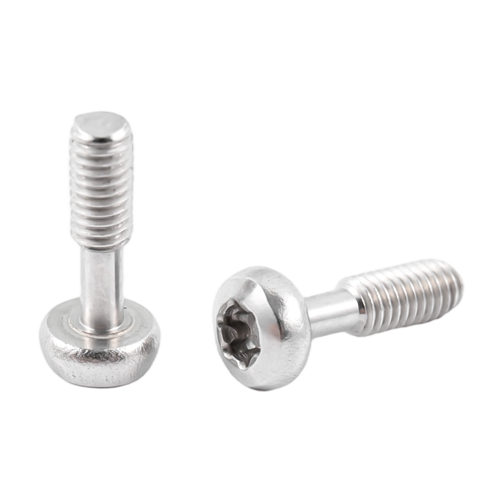 Paslanmaz çelik düğme başlı torx tutucu vidalar Paslanmaz çelik düğme başlı torx tutucu vidalar