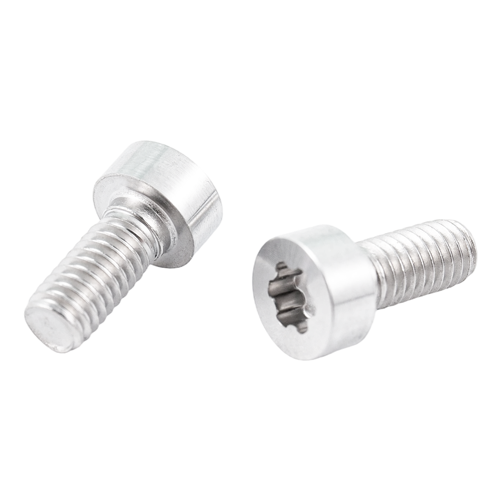 Özelleştirilmiş düşük çanak başlı CD desen vidaları Torx başlı saten fırçalanmış vidalar Özelleştirilmiş düşük çanak başlı CD desen vidaları Torx başlı saten fırçalanmış vidalar
