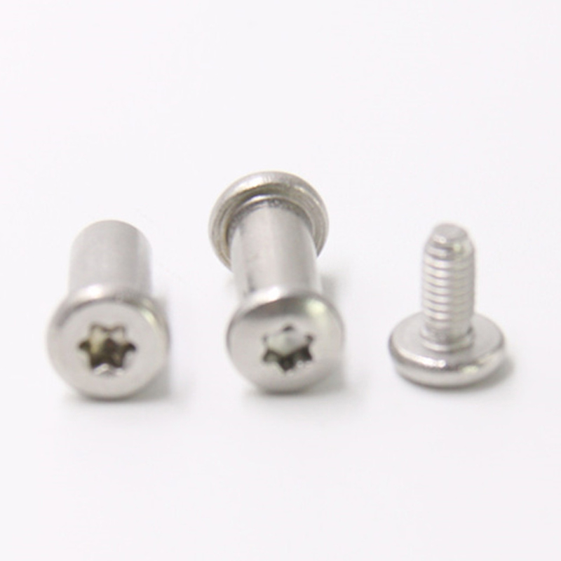 Bıçak için paslanmaz çelik m3 torx başlı erkek ve dişi vida