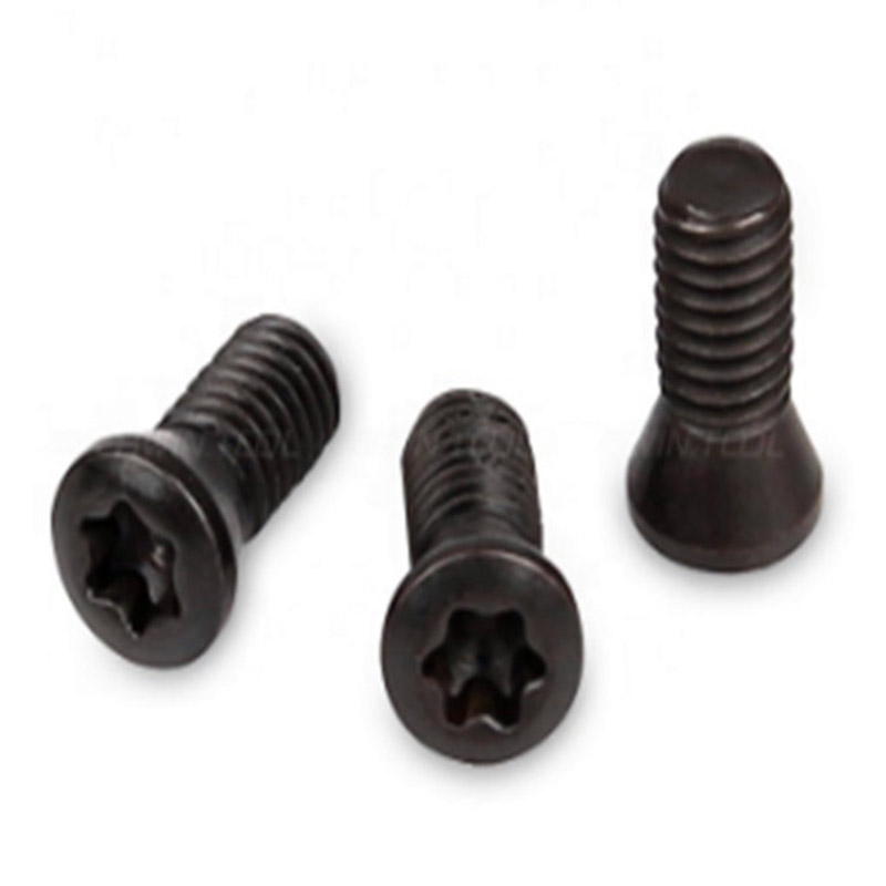 Karbür Uçlu CNC Torna Takımının Yerine M2 Torx Vidası